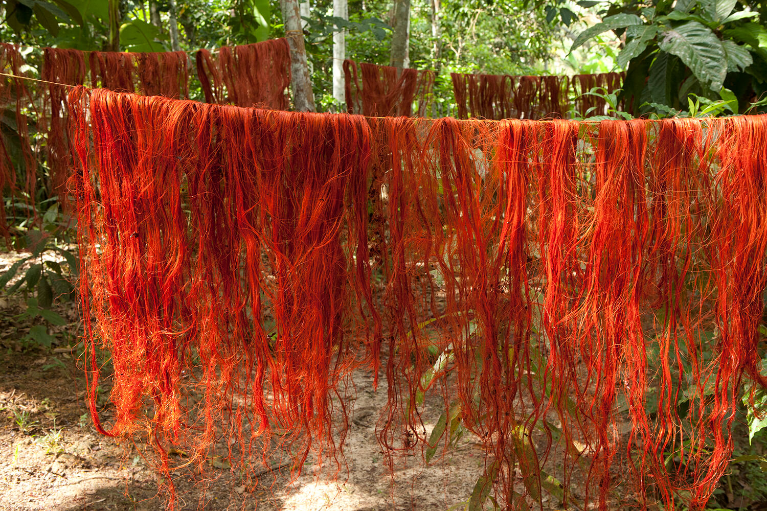PALOBRASIL 30_galeria_MG_6859.jpg